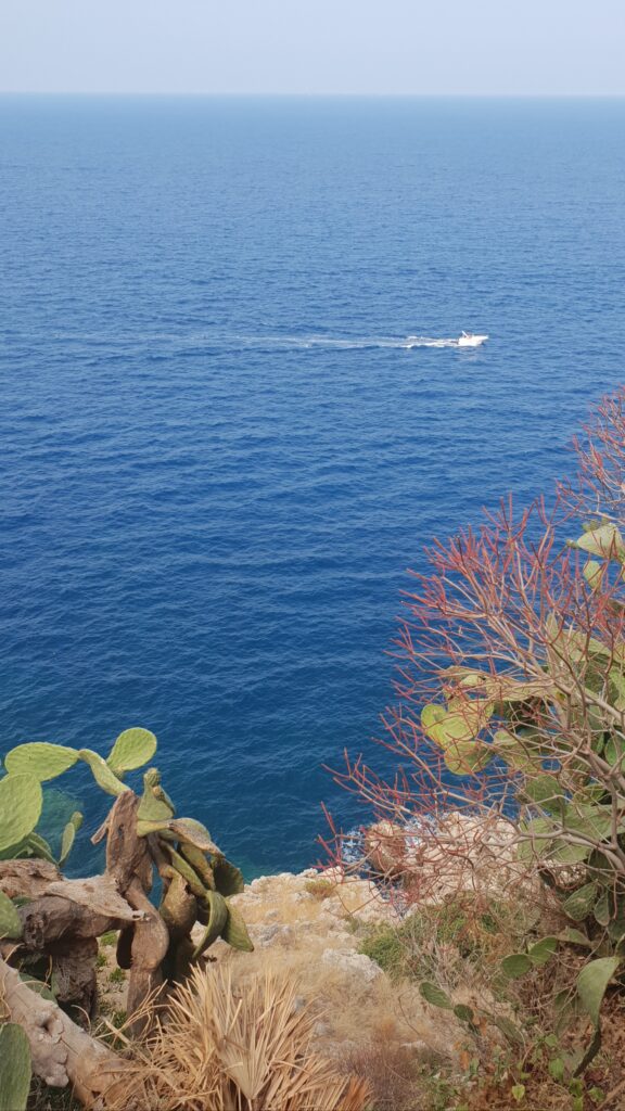 Il mare dalla Riserva dello Zingaro