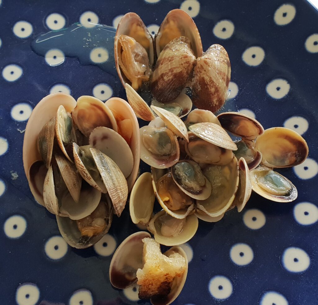 Vongole e crostini